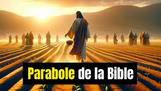 Les 15 Paraboles les Plus Fascinantes de la Bible  Paraboles du Christ [upl. by Onileba]