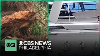 Delaware tornado damages Acme store and homes uproots trees [upl. by Adnaval]