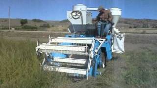 sainfoin seed harvest [upl. by Utter]