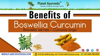 Benefits of Boswellia Boswellia serrata  Curcumin Curcuma longa [upl. by Aiekat375]