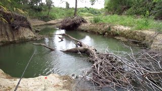 S08E38 Wading Creek While Sprinkling Rain [upl. by Dare]