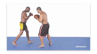 Anderson Silva Striking Combos For MMA With English Subtitles CD1 [upl. by Nylzaj]