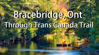 Bracebridge in Autumn Explore Amazing Waterfalls and Downtown Through Trans Canada Trail [upl. by Sylvan844]