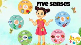 five senses songsense organs5 senseseducational videonursery rhymesbody parts nameskids songs [upl. by Hastings]