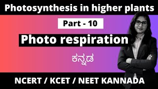 Photosynthesis in higher plants Part 10  Photorespiration biologyinkannada 1stpuc pcmb [upl. by Asiul]