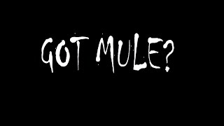 Govt Mule quotEnd Of The Linequot [upl. by Eoin]