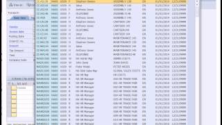 SAP Financial Accounting [upl. by Ellesor]