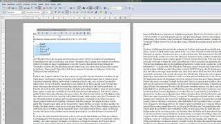 30 Nummerierungen und Aufzählungen in einem Text  OpenOffice  LibreOffice Writer [upl. by Odette]