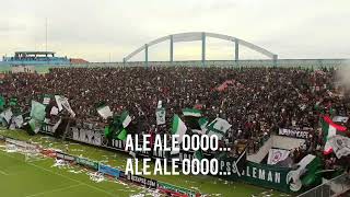 Sleman verde [upl. by Targett]