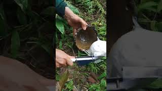 Natural cup lump rubber satisfyingvideo excellent amazing shorts [upl. by Rossen]