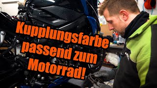 Und die Moral von der Geschicht  Suzuki GSXS OHNE VORTRIEB  Kupplung ABGERAUCHT [upl. by Yedok412]