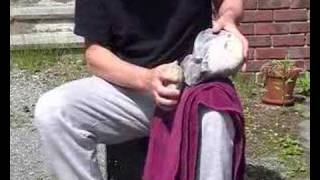 basic flint knapping [upl. by Forcier]