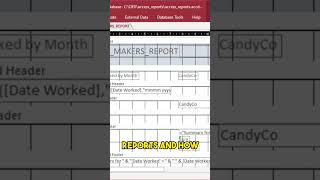 Getting Started with MS Access Reports [upl. by Sivrahc]