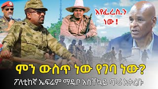 Ethiofact ከባዱ ነገር እየመጣ ነው ፤ ምን ውስጥ ነው የገባ ነው  ፖለቲከኛ ኤፍሬም ማዴቦ አስቸኳይ ጥሪ አቀረቡ 26 November 2024 [upl. by Posner883]