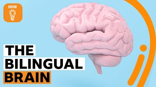 Why being bilingual is good for your brain  BBC Ideas [upl. by Oiretule833]