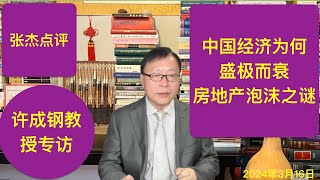 许成钢：中国经济为何盛极而衰？揭开房地产爆雷之谜 [upl. by Ynohtnakram478]