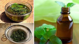 How To Make Peppermint  Mint Oil At Home  Homemade Fresh Peppermint Oil At Home [upl. by Mode]