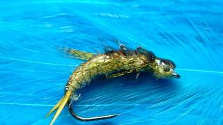 Tying a Golden Stonefly Nymph with Davie McPhail [upl. by Vedette233]