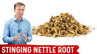 5 Benefits of Stinging Nettle Root [upl. by Eelirak]