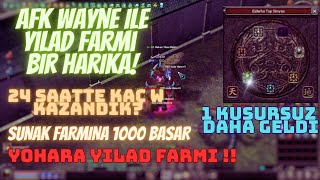 YENİ FARM YERİMİZ YOHAR YILAD FARMI EN DOĞRU KARARI VERDİK 24 SAAT AFK FARMI İLE YILAD KAZANCI [upl. by Ardnekal120]