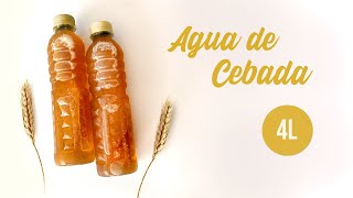 Agua  Refresco de cebada con linaza para negocio  Recetas Copy [upl. by Nilla]