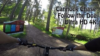 4K Cannock Chase  Follow the Dog  Full Trail [upl. by Peyton]