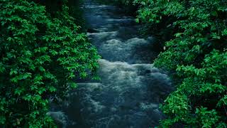 Natures Stress Relief Water Stream Sounds for Ultimate Relaxation [upl. by Ahsekar475]