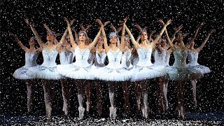 The Nutcracker Waltz of the Snowflakes [upl. by Gimpel]