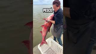 Libera a los peces en el mar shortsvideo [upl. by Tavey]