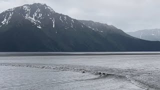 The Bore Tide at Turnagain Arm 752023 [upl. by Danielson]