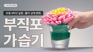 부직포 가습기 만들기 우과 생생 실험실 [upl. by Dunc293]