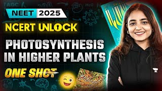 Photosynthesis in Higher Plants class 11 One Shot  NEET 2025  Apeksha Singhneet2025 [upl. by Eidnar]