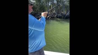 Catching Bull Reds fishing [upl. by Norvil325]