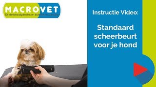 Video Instructie Standaard Scheerbeurt voor je hond [upl. by Niassuh111]