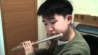 Nausicaa of the Valley of the Wind  Japanese anime song flute cover [upl. by Ycniuq]