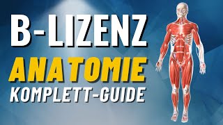 BLizenz Anatomie KomplettGuide Muskulatur amp Gelenke erklärt BLizenz Prüfungsstoff [upl. by Volnak]