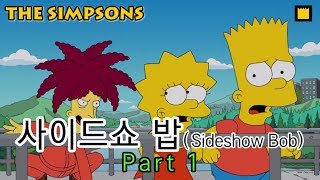 사이드쇼 밥Sideshow Bob  PART1 [upl. by Llewen664]