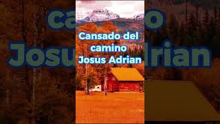 Cansado Del Camino Jesús Adrián Romero [upl. by Mazonson]