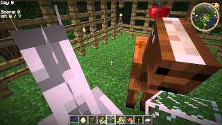 How to Tame Breed Horses in Mo Creatures Villager Families [upl. by Jeraldine630]