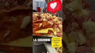 lasagnelacochonnevideo [upl. by Rosabella686]