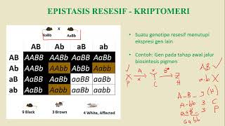 Genetika Extension dan Genetika Populasi [upl. by Ahtibbat]