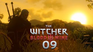 WITCHER 3 BLOOD amp WINE 009  Geralt Monsterschlächter [upl. by Auhel]