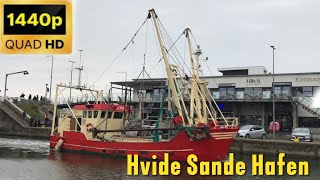 Kutter in Hvide Sande Hafen1440p 60fps Aufnahme [upl. by Haisoj489]