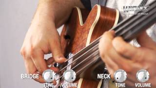 The Warwick Star Bass II Bubinga  Product Demo [upl. by Wildon152]