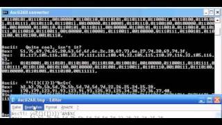 Batch converter  Ascii to binary decimal and hexadecimal [upl. by Thor644]