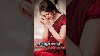 manmadhudu movie andamaina bhamalu song whatsapp status [upl. by Farris]