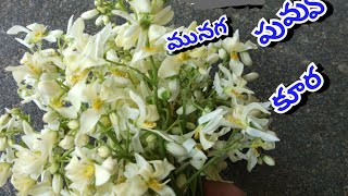 Munaga Puvvu Curry Drumstick Flowers Recipes in telugu Awesome Recipes [upl. by Airotkciv495]