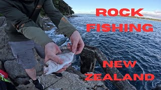 Rock Fishing New Zealand On Stunning Mount Maunganui [upl. by Kosse823]