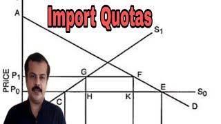 Import Quotas  Effects of an Import Quota [upl. by Giesser]