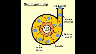 How does a Centrifugal pump work  Centrifugal pump working animation  Types of pump [upl. by Nevart365]